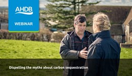 Dispelling the myths about carbon sequestration